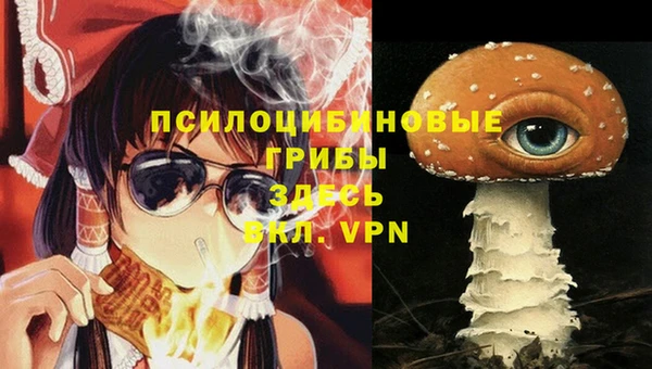 молекула духа Новодвинск